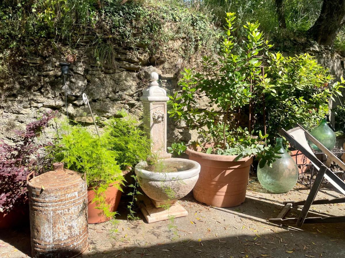 Ca' Dei Merli - Charming Italian Village House Casanova Lerrone Eksteriør bilde